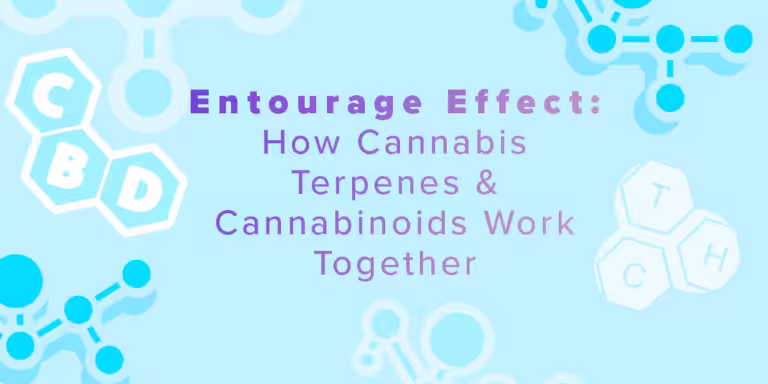Entourage Effect: How Cannabis Terpenes & Cannabinoids Work Together